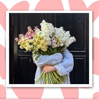 ფერადი შოპაი 50 ცალი