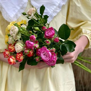 ჯუჯა ვარდები 10 ტოტი