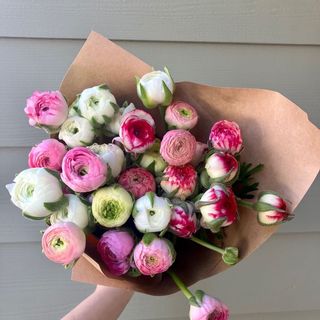 ფერადი რანიკულუსის 20 ტოტი