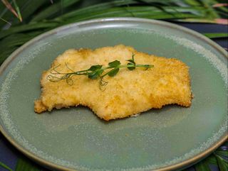 Chicken schnitzel