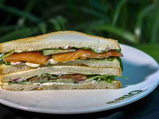 Sandwich with salmon