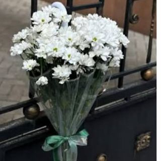 ქრიზანთემები ქოლგით