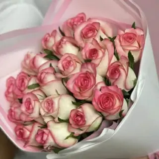 ვარდი ჯუმელია (20ც)