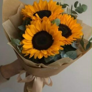 მზესუმზირების თაიგული