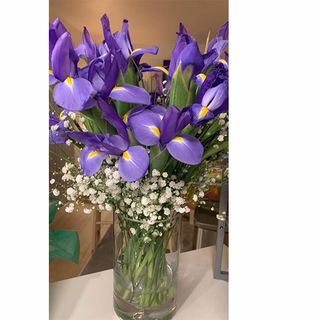 ირისები ლარნაკით