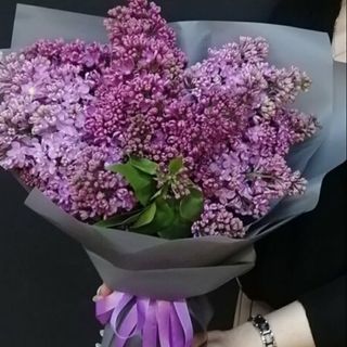 იასამნები