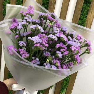 ფერადი ლიმონიუმები