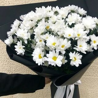 ქრიზანთემები