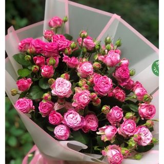 სპრეი ვარდები