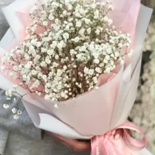 გიფსოფილას თაიგული ზომა მედიუმი