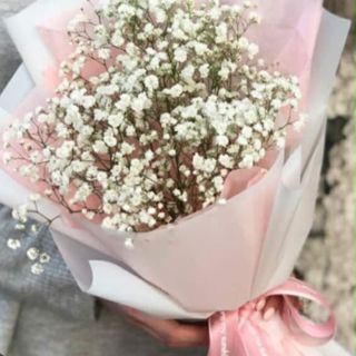  გიფსოფილას თაიგული ზომა მედიუმი