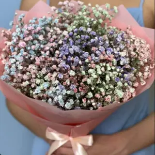 ფერადი გიფსოფილები