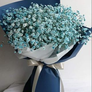 გიფსოფილები