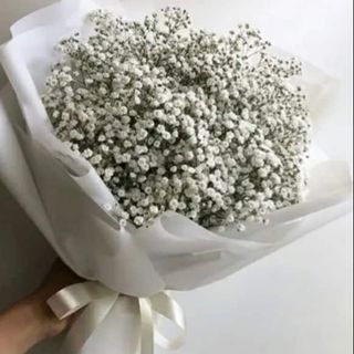 თეთრი გიფსოფილების თაიგული