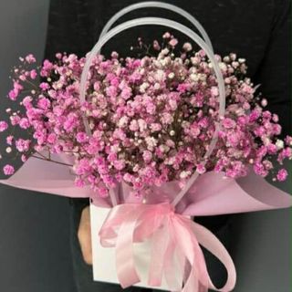 ჩანთა გიფსოფილებით