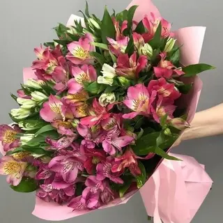 ფერადი ასტრომერიების თაიგული