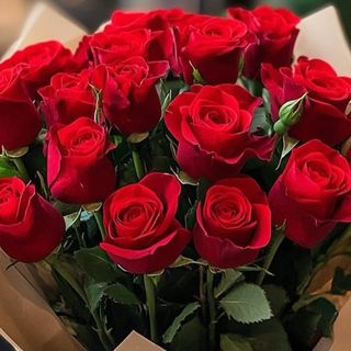 წითელი ვარდი (10ც)