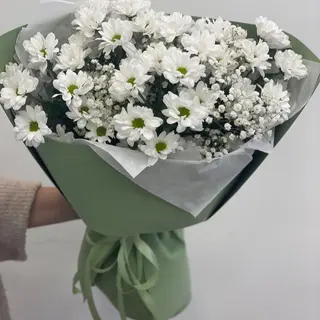 ქრიზანთემები