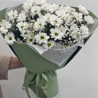 ქრიზანთემები