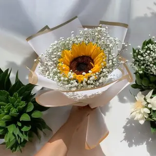 მზესუმზირები და გიფსოფილები