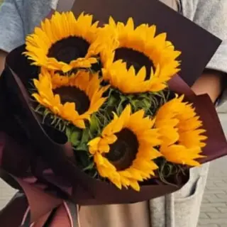 მზესუმზირების თაიგული