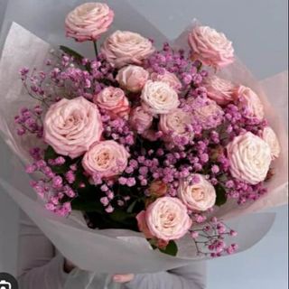 ვარდი და გიფსოფილა