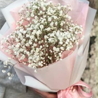 გიფსოფილას თაიგული ზომა მედიუმი