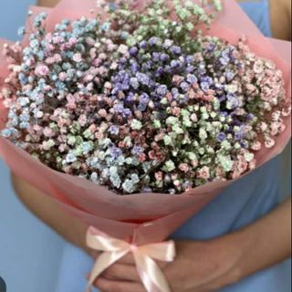 ფერადი გიფსოფილები