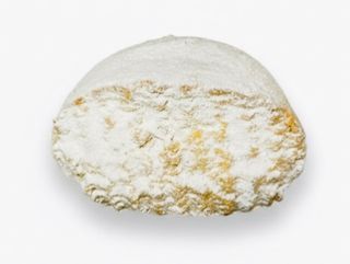 შაქარლამა