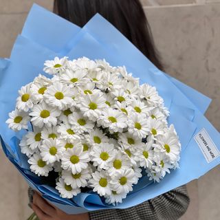 Daisies