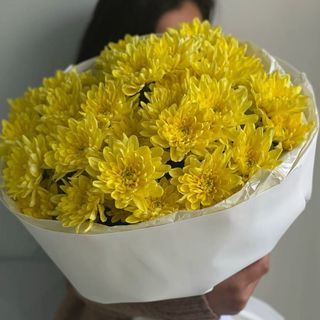 Yellow chrys