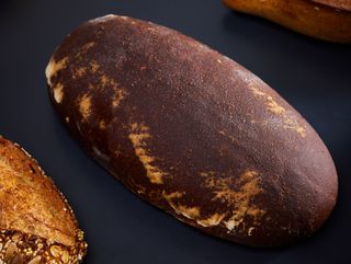 ბოროდინო