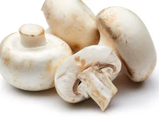 Mashrooms