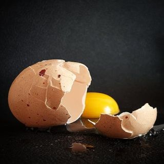 Egg
