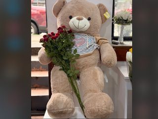 დათუნია Large size