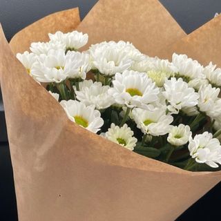 თეთრი ქრიზანთემას 10 ტოტი