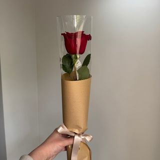 1 ჰოლანდიური ვარდი