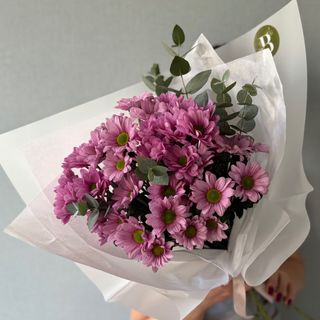 ვარდისფერი ქრიზანთემების თაიგული