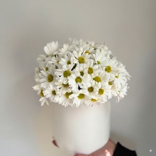 გვირილების ბურთი