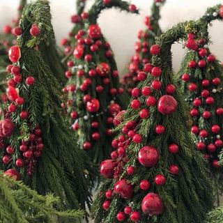 ნაძვის ხე კენკრით 