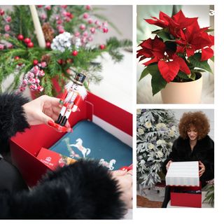 კომპლიმენტი ზამთარში  COMBO #9