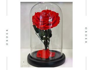 მარადიული სიყვარული