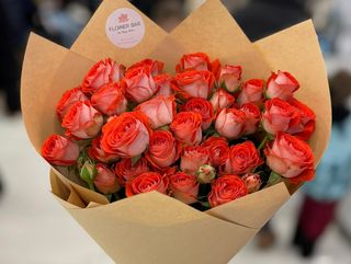 სტაფილოსფერი გრძნობებით