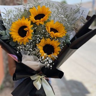 მზესუმზირა და გიფსოფილები