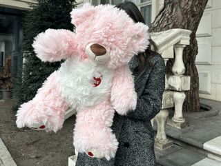 ვარდისფერი დათუნია