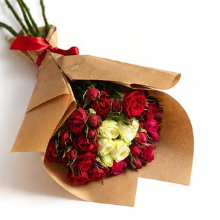 ჯუჯა ვარდი