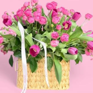 გაზაფხულის სხივი