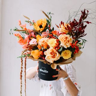 დამავალ შუქის ფერთა მოდგომა