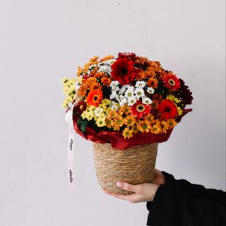 მინდვრის კალათა