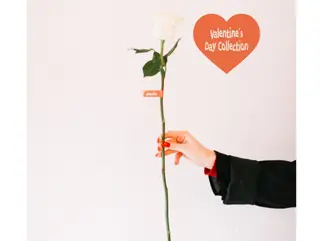 White  rose